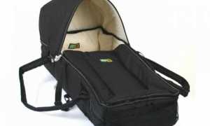 Переноска для детей: как выбрать подходящую модель по возрасту и сколько по времени носить в ней ребенка