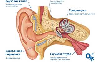 Что делать, если боли в ухе и за ухом у ребенка