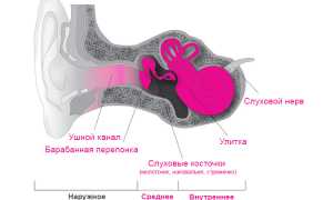 Что такое смешанная тугоухость, какие причины симптомы и лечение?