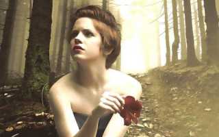 Послеродовой эндометрит: течение и формы заболевания, профилактика и лечение инфекции