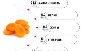 В поисках витаминов и нестандартные способы приготовления кураги для женщин на ГВ