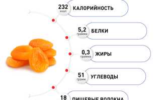 В поисках витаминов и нестандартные способы приготовления кураги для женщин на ГВ