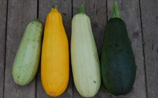 Можно ли кабачки при грудном вскармливании