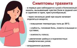 Аллергический трахеит — симптомы и лечение у детей и взрослых