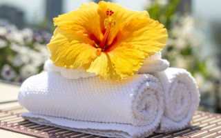 Как правильно заваривать череду для купания новорожденных: Комаровский, отзывы