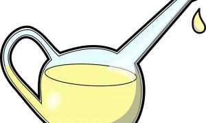 Коктейль из касторки для стимуляции родов