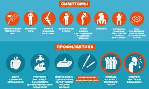 Грипп в 2018-2019 г, какие штаммы ожидать и как бороться с вирусом, лечение и профилактика
