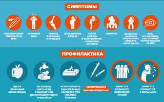 Грипп в 2018-2019 г, какие штаммы ожидать и как бороться с вирусом, лечение и профилактика
