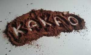 Какао при грудном вскармливании, можно или нет, отзывы