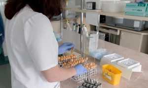 Пантогам для грудных детей