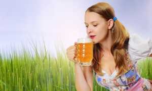 Можно ли кормящей маме пить пиво и как влияет спиртной напиток на вскармливание малыша