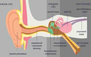 Что делать если заложило ухо после чистки ватной палочкой?