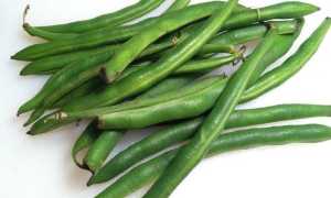 Можно ли стручковую фасоль при грудном вскармливании