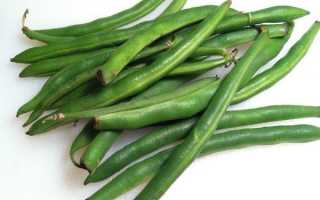 Можно ли стручковую фасоль при грудном вскармливании