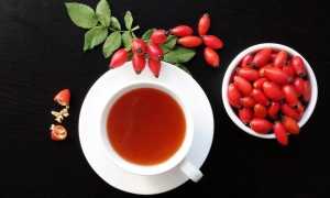 Можно ли шиповник при грудном вскармливании в 1, 2 и 3 месяц, отзывы