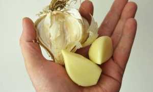 Можно ли чеснок при грудном вскармливании