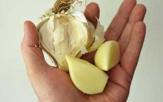 Можно ли чеснок при грудном вскармливании