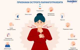 Ларинготрахеит — симптомы и лечение у взрослых