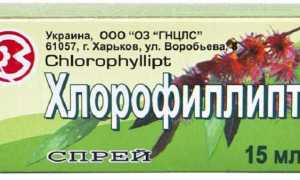 Хлорофиллипт против стоматита