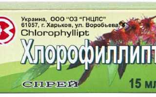 Хлорофиллипт против стоматита