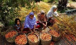 Можно ли финики на грудном кормлении