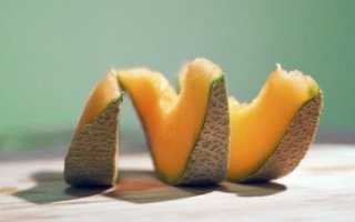 Дыня при грудном вскармливании новорожденного в 1, 2, 3 месяц: можно или нет, Комаровский