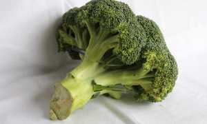 Готовим пюре из брокколи для грудничка из свежего и замороженного продукта