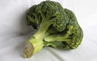 Готовим пюре из брокколи для грудничка из свежего и замороженного продукта