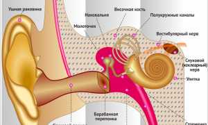 Болит мочка уха, что делать и чем лечить?
