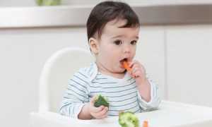 Питание ребенка в 9 месяцев
