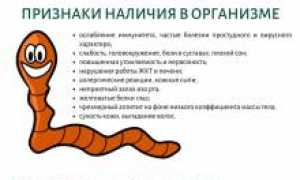 Как очистить организм от паразитов кефиром