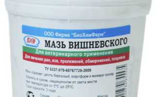 Мазь Вишневского — для чего применяется, в гинекологии, при беременности, при геморрое