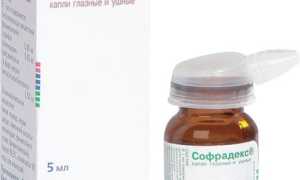 Софрадекс (Sofradex)– инструкция по применению, цена и аналоги