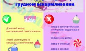 Можно ли зефир при грудном вскармливании в первый месяц. Подбираем безаллергенный состав и размер первой порции