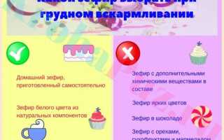 Можно ли зефир при грудном вскармливании в первый месяц. Подбираем безаллергенный состав и размер первой порции