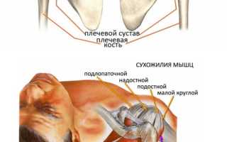 Ротаторная манжета плечевого сустава: симптомы повреждения и лечение