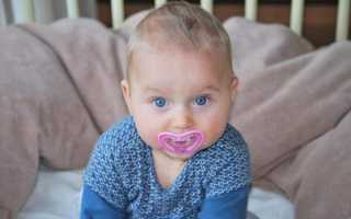 Ниблер для детей