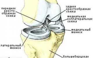 Как восстановить суставы: лекарственная терапия, народные методы, питание