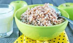 Гречневая каша для первого прикорма, как готовить с помощью блендера: рецепты