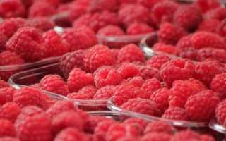 Можно ли малину при грудном вскармливании, ребенку 1, 2, 3, 4 месяца