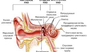 Что делать, если попала вода в ухо, симптомы, профилактика