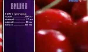Компот из войлочной вишни с косточками приводит к тяжелым отравлениям