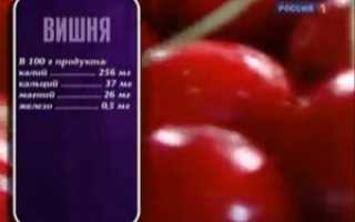 Компот из войлочной вишни с косточками приводит к тяжелым отравлениям