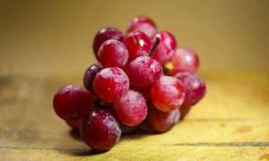 Можно ли есть виноград при беременности