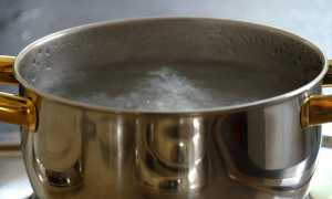 Cколько варить кролика ребенку