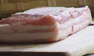 Можно ли сало при грудном вскармливании