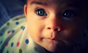 Что дают на молочной кухне