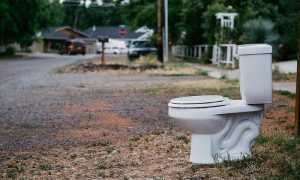 Понос при беременности на ранних сроках: причины и лечение, отзывы (с форумов)