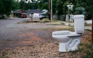 Понос при беременности на ранних сроках: причины и лечение, отзывы (с форумов)