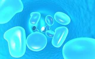 Лейкоцитоз у грудничков: причины, симптомы, лечение